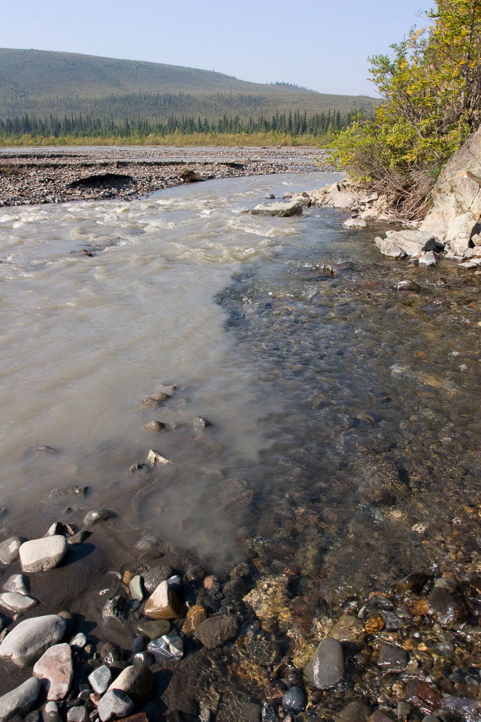 Denali National Park and State Park