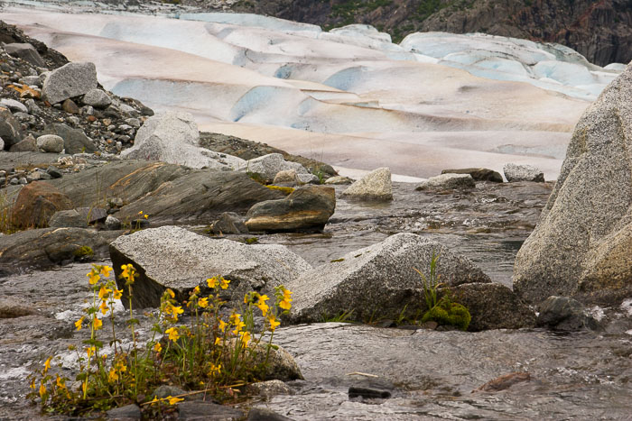 Juneau Alaska Area