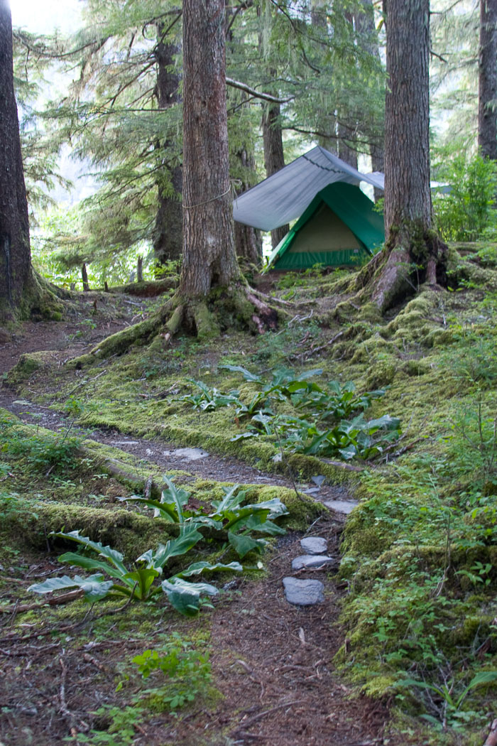 Coastal Southeast Alaska - Petersburg area