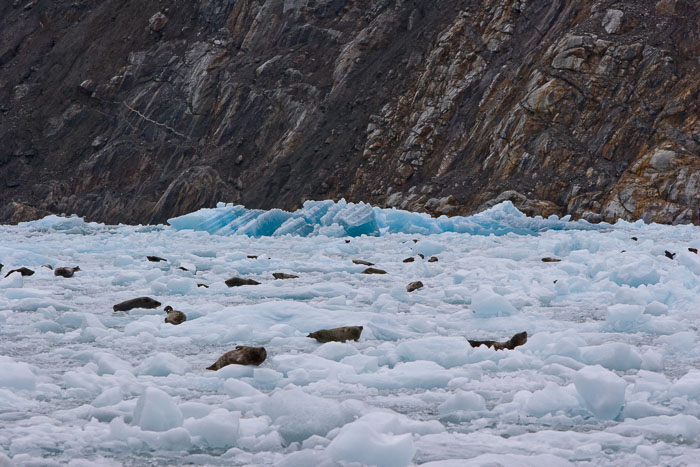 Tracy Arm - Ford's Terror Wilderness