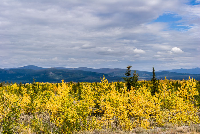 Alaska-Canada Highway