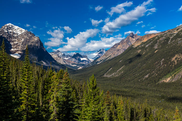 Jasper Mt. Edith Cavell Area