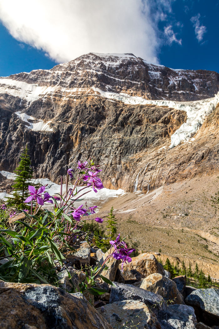 Jasper Mt. Edith Cavell Area