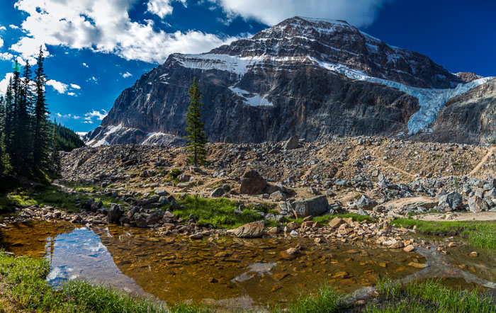 Jasper Mt. Edith Cavell Area Jasper Mt. Edith Cavell Area