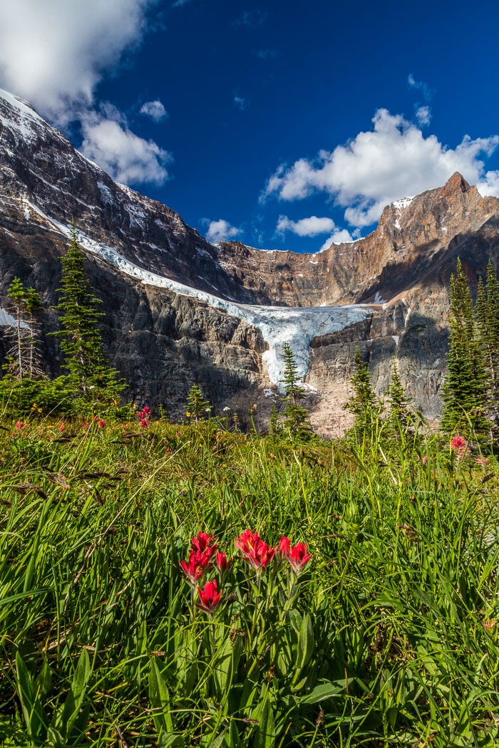 Jasper Mt. Edith Cavell Area Jasper Mt. Edith Cavell Area