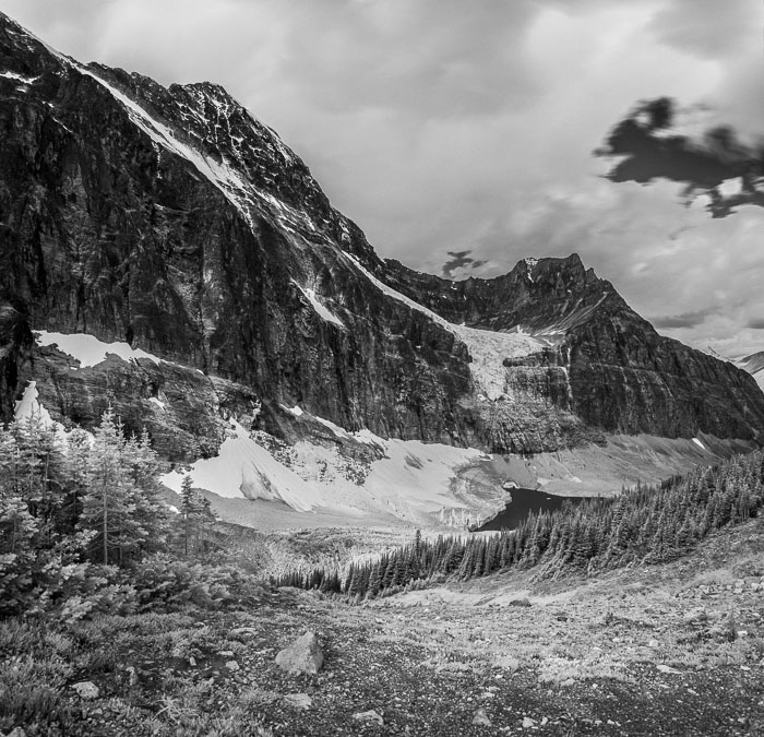 Jasper Mt. Edith Cavell Area Jasper Mt. Edith Cavell Area