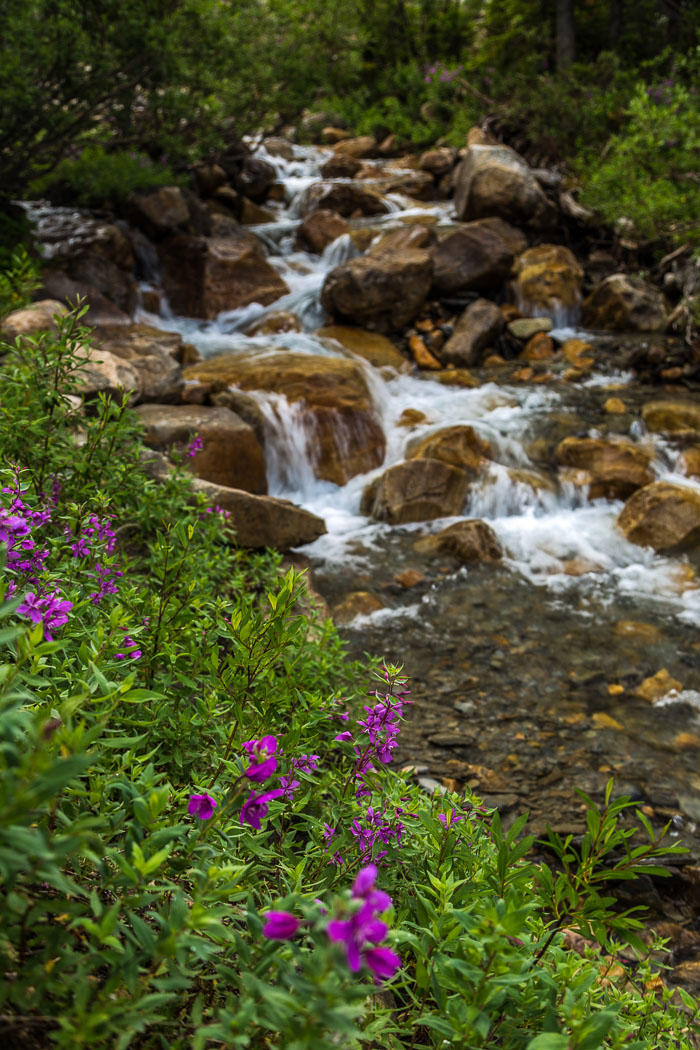 Jasper Mt. Edith Cavell Area