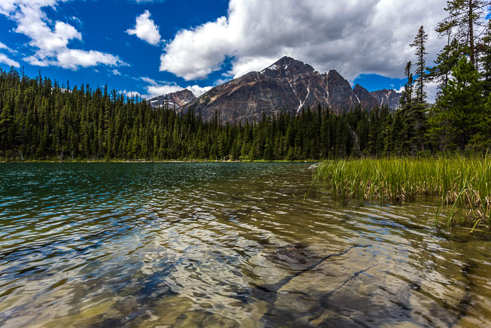 Jasper Mt. Edith Cavell Area