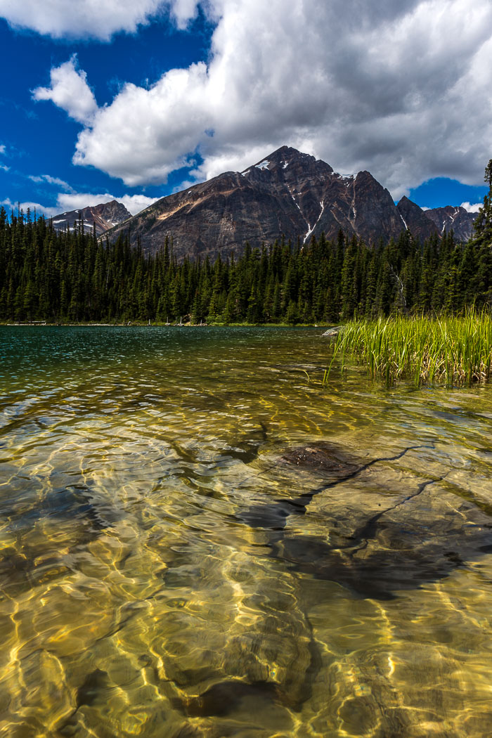 Jasper Mt. Edith Cavell Area