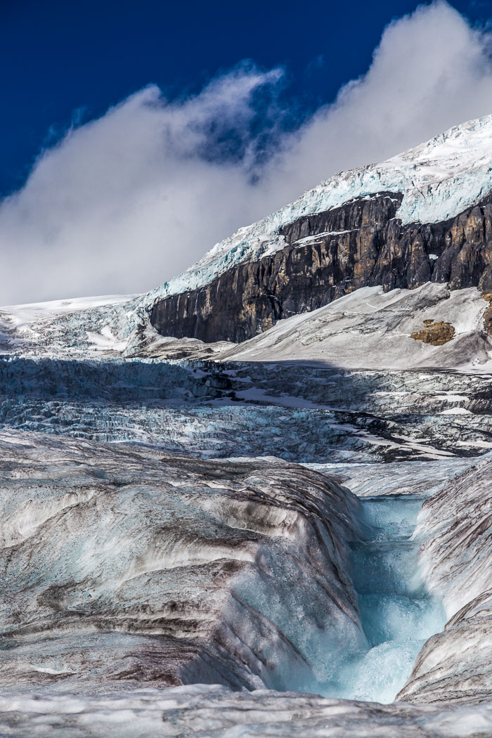 Columbia Icefields Area Columbia Icefields Area