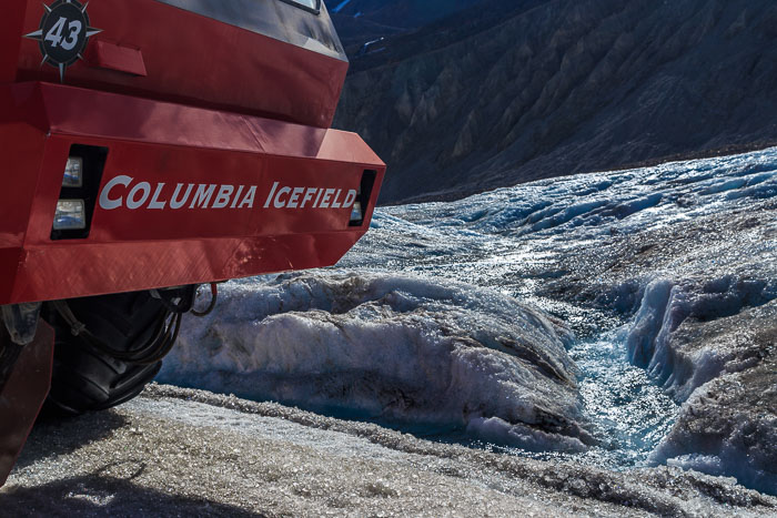 Columbia Icefields Area Columbia Icefields Area