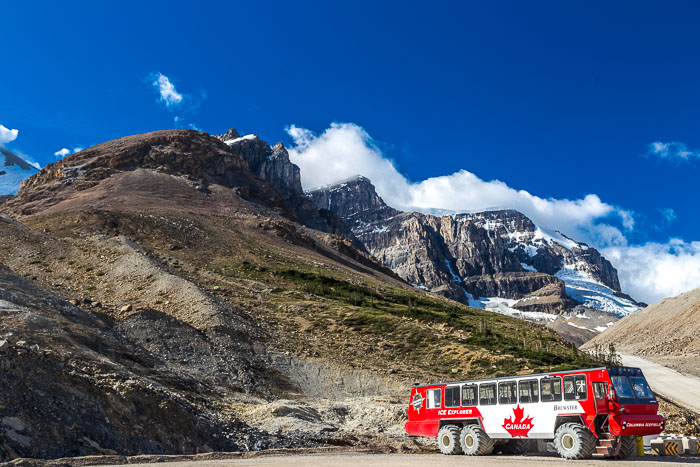 Columbia Icefields Area