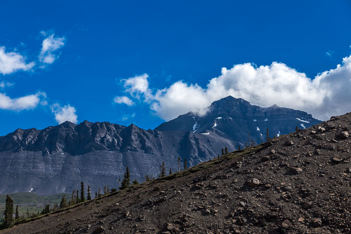 Columbia Icefields Area Columbia Icefields Area