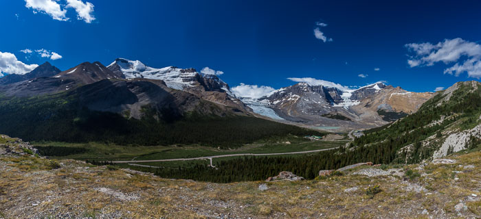 Columbia Icefields Area