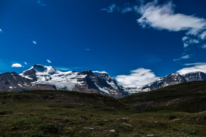 Columbia Icefields Area