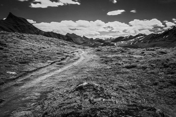 Columbia Icefields Area Columbia Icefields Area