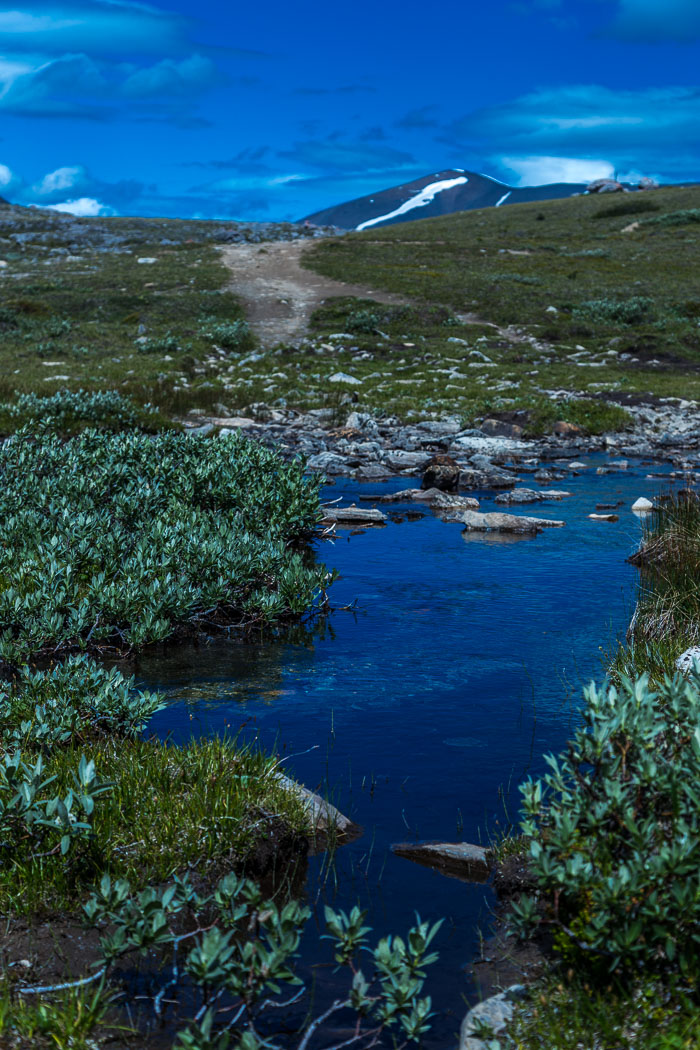 Columbia Icefields Area