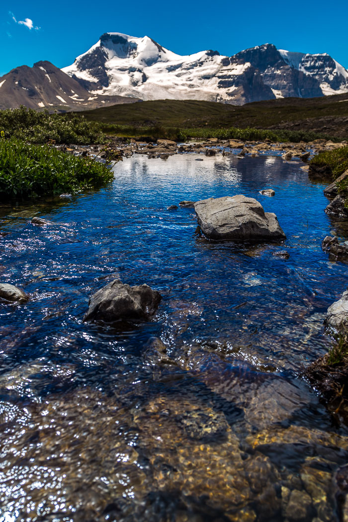 Columbia Icefields Area