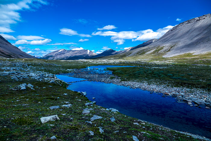 Columbia Icefields Area