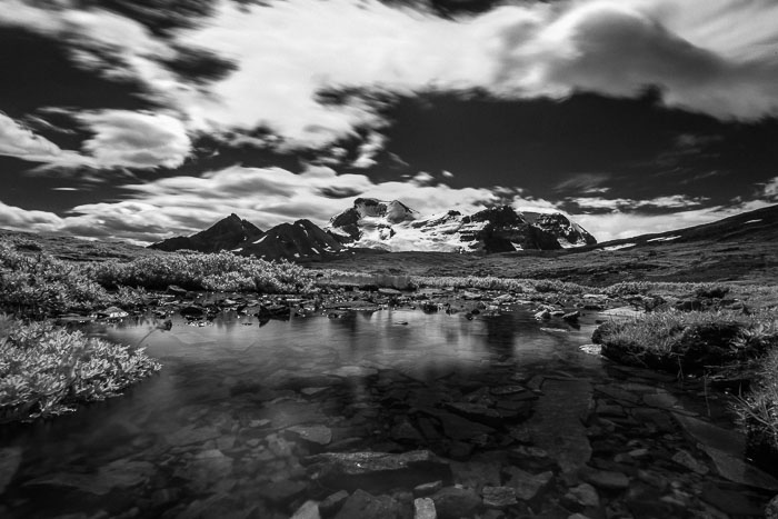 Columbia Icefields Area
