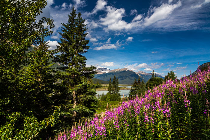Along the Icefields Parkway - Banff Section Along the Icefields Parkway - Banff Section