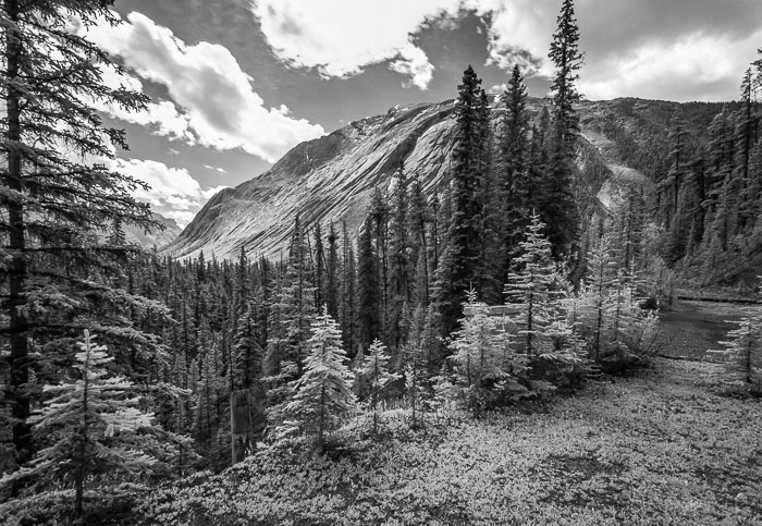 Along the Icefields Parkway - Banff Section