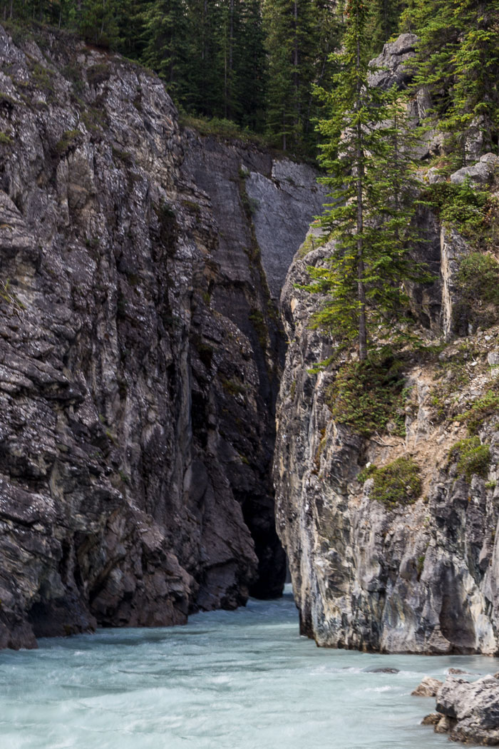 Along the Icefields Parkway - Banff Section Along the Icefields Parkway - Banff Section