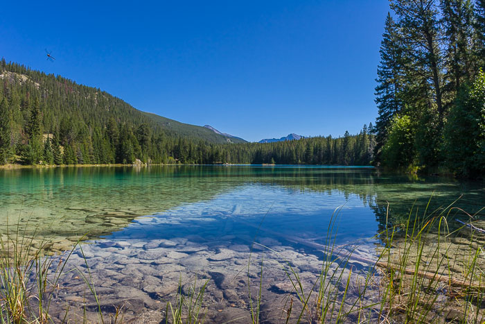 Jasper National Park