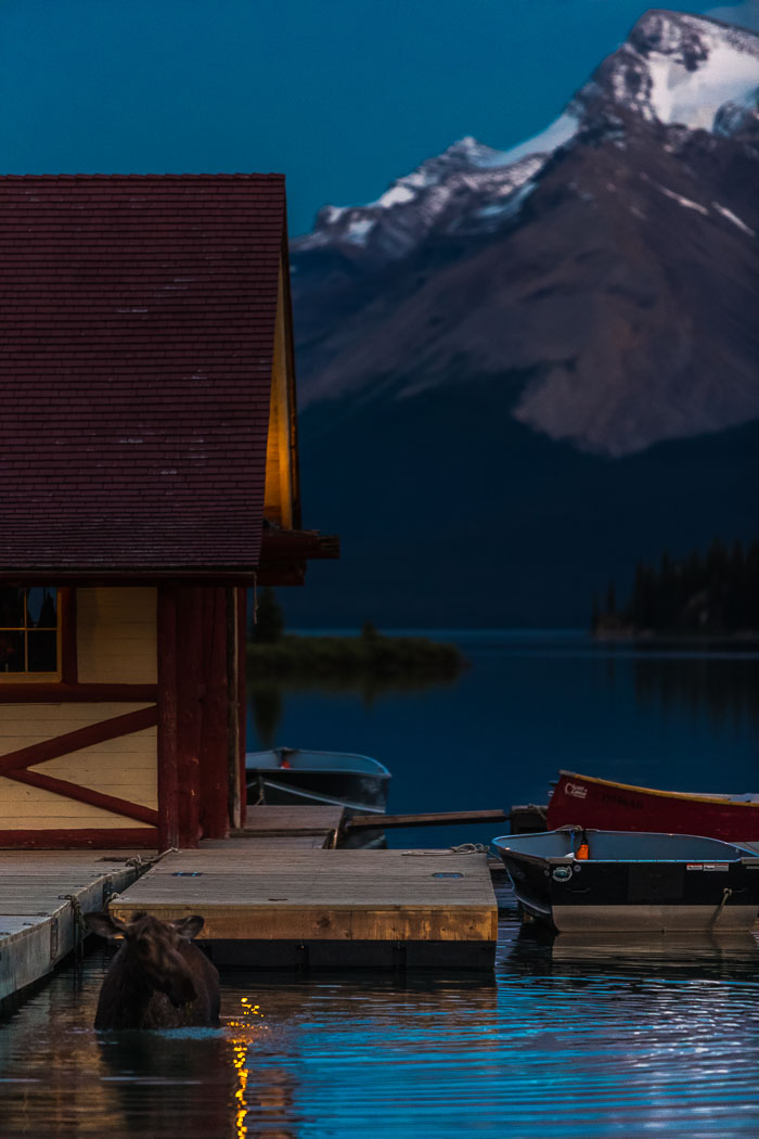 Maligne Lake Area