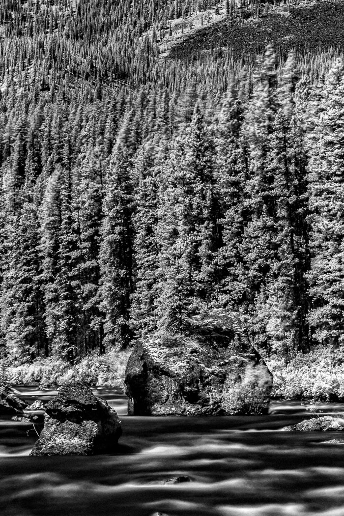 Maligne Lake Area Maligne Lake Area