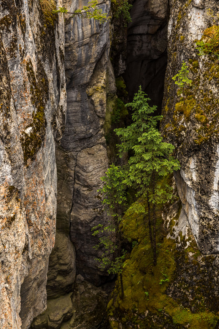 Maligne Canyon Maligne Canyon
