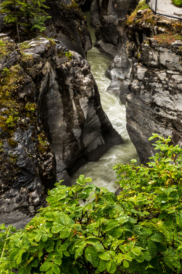 Maligne Canyon