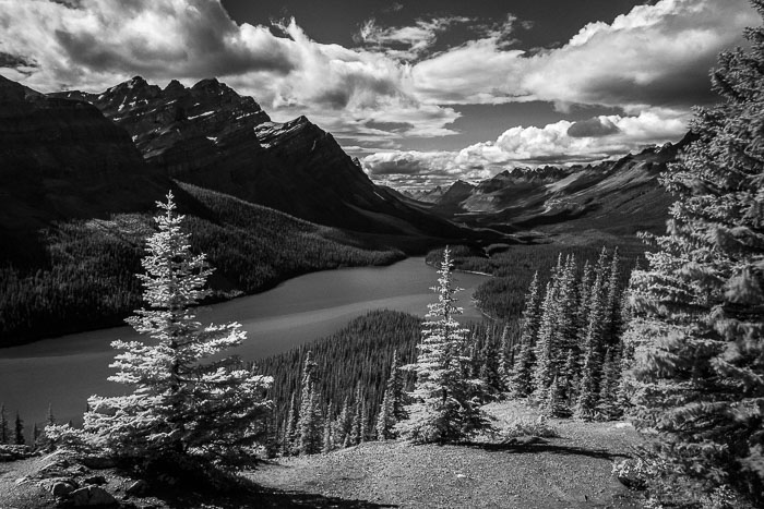 Canadian National and Provincial Parks Canadian National and Provincial Parks