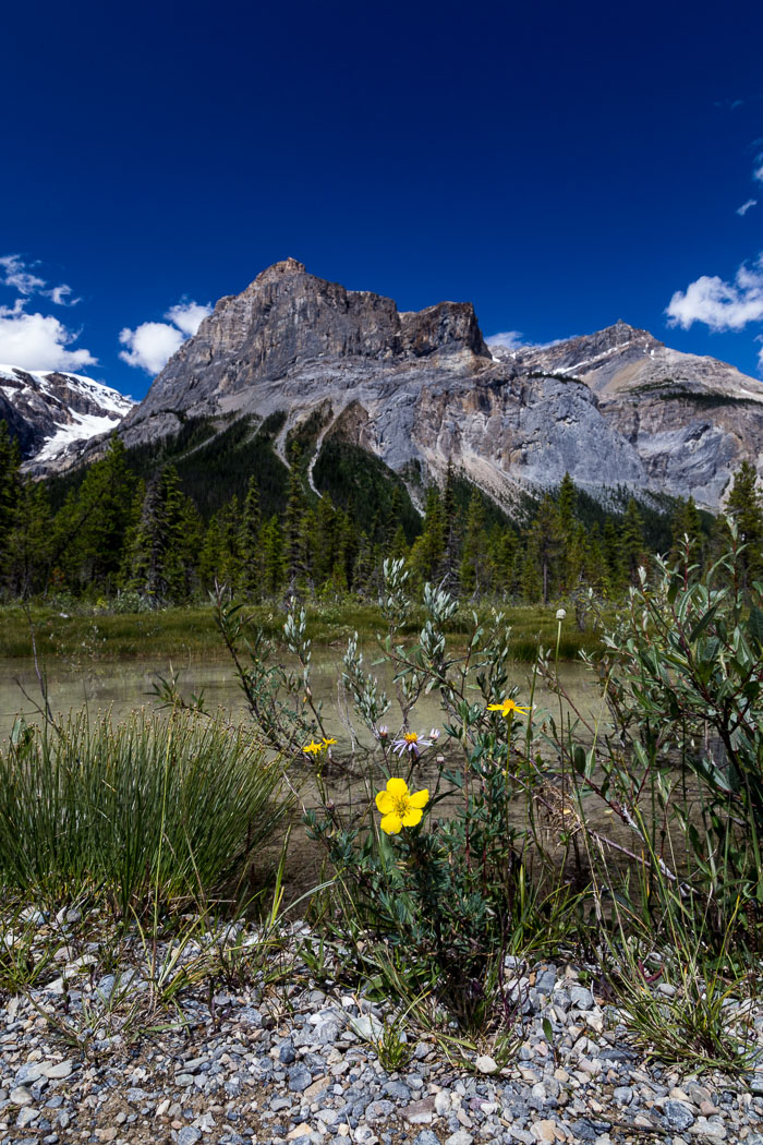 Yoho National Park Yoho National Park