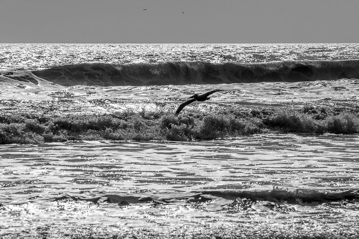 Outer Banks