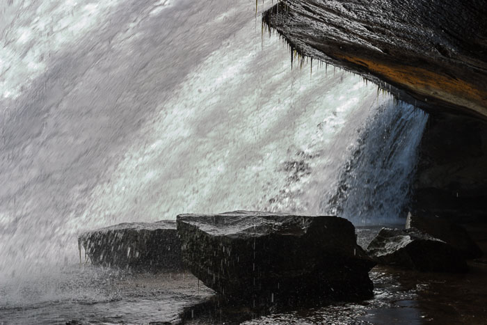 DuPont State Forest