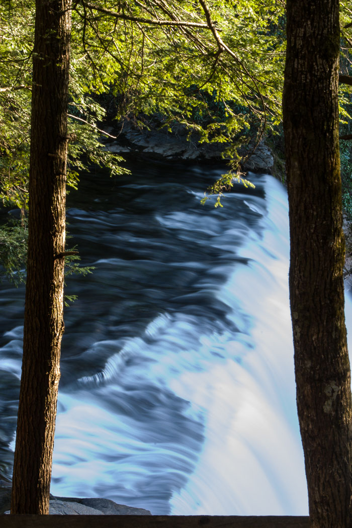 DuPont State Forest