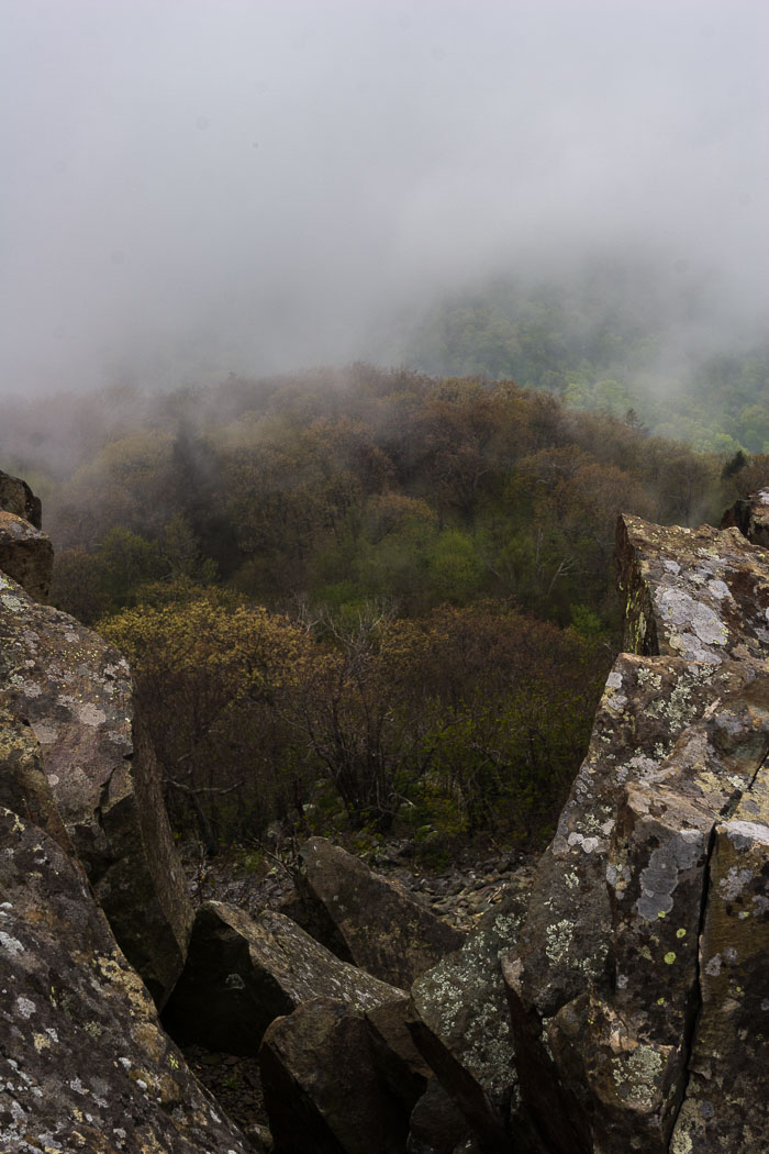 Shenandoah National Park