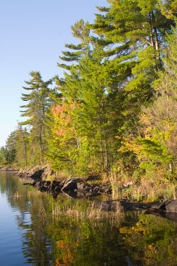 Voyageurs National Park