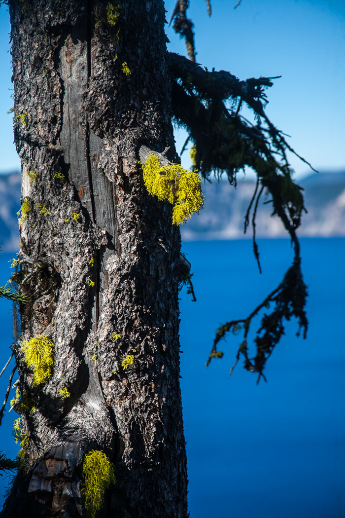 Crater Lake National Park