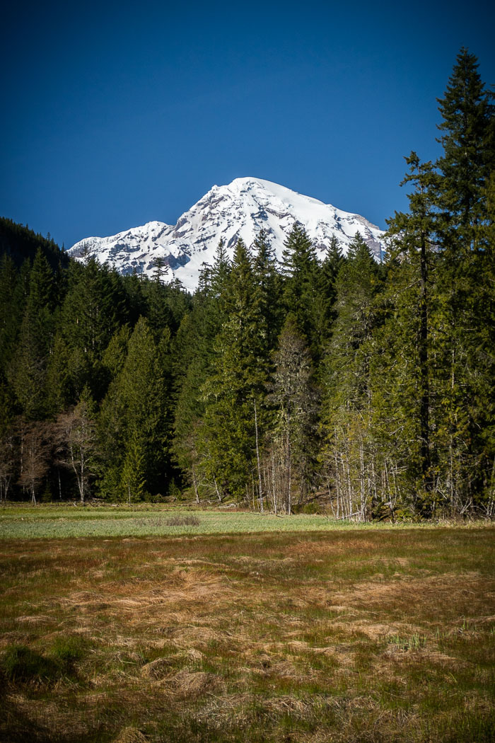 Mt. Rainier National Park