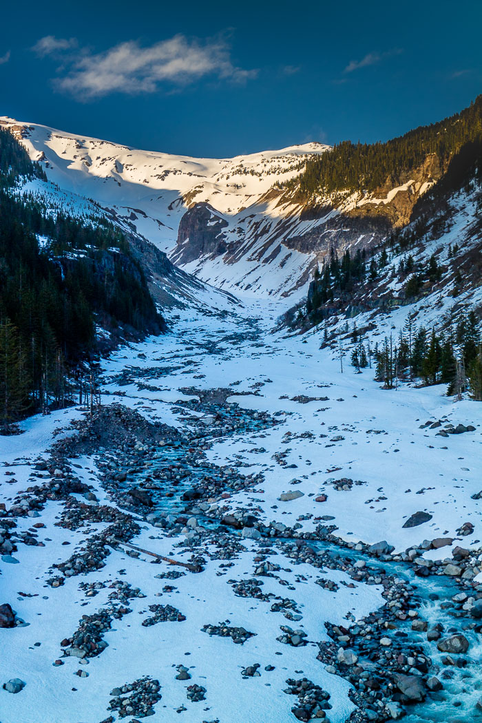 Mt. Rainier National Park