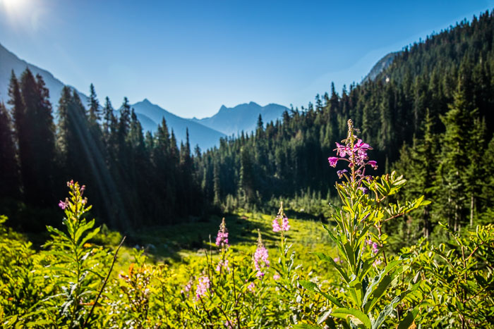 North Cascades National Park Complex
