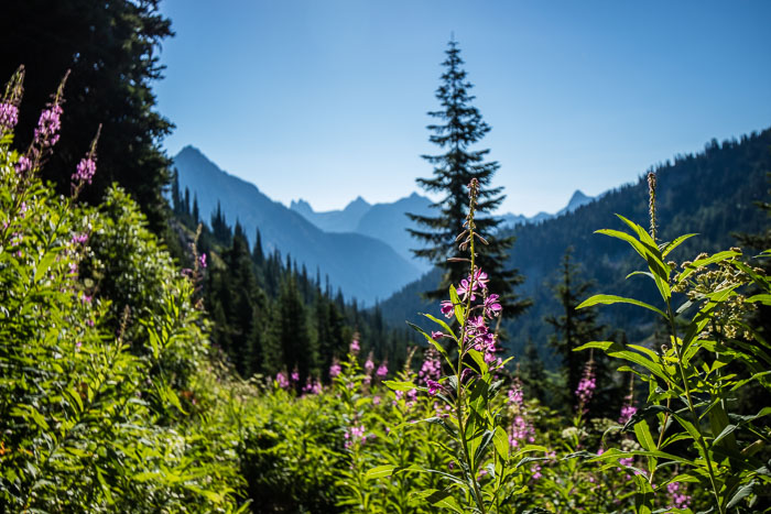 North Cascades National Park Complex