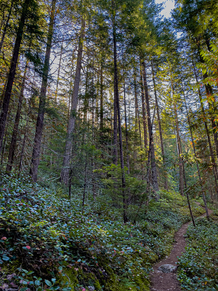 North Cascades National Park Complex