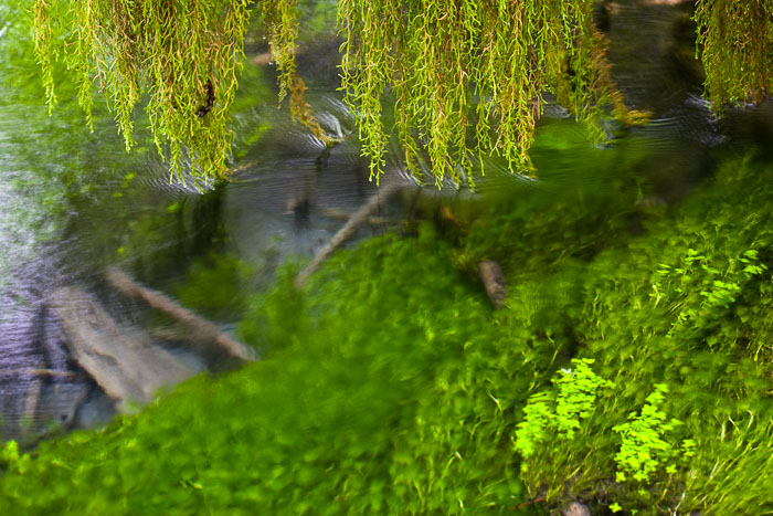 Olympic National Park