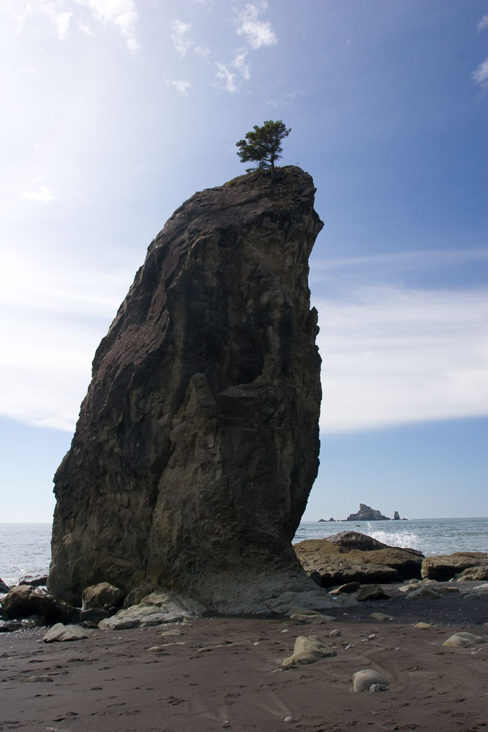 Olympic National Park
