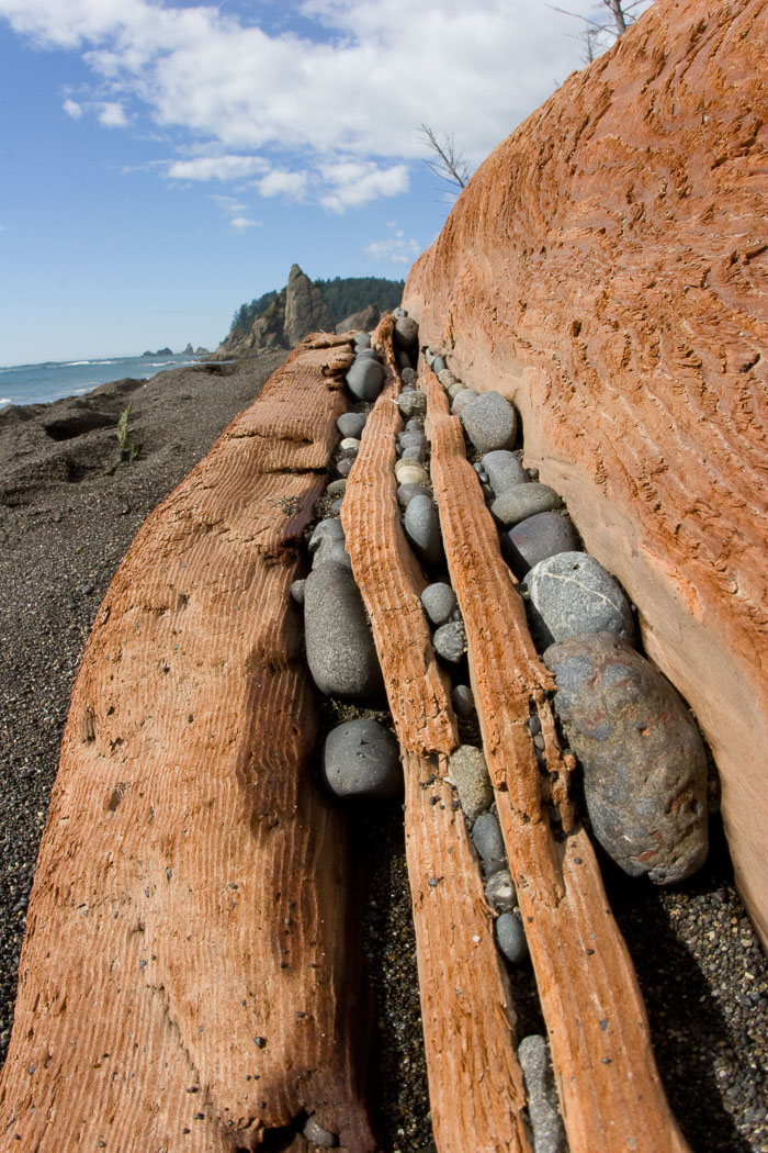 Olympic National Park