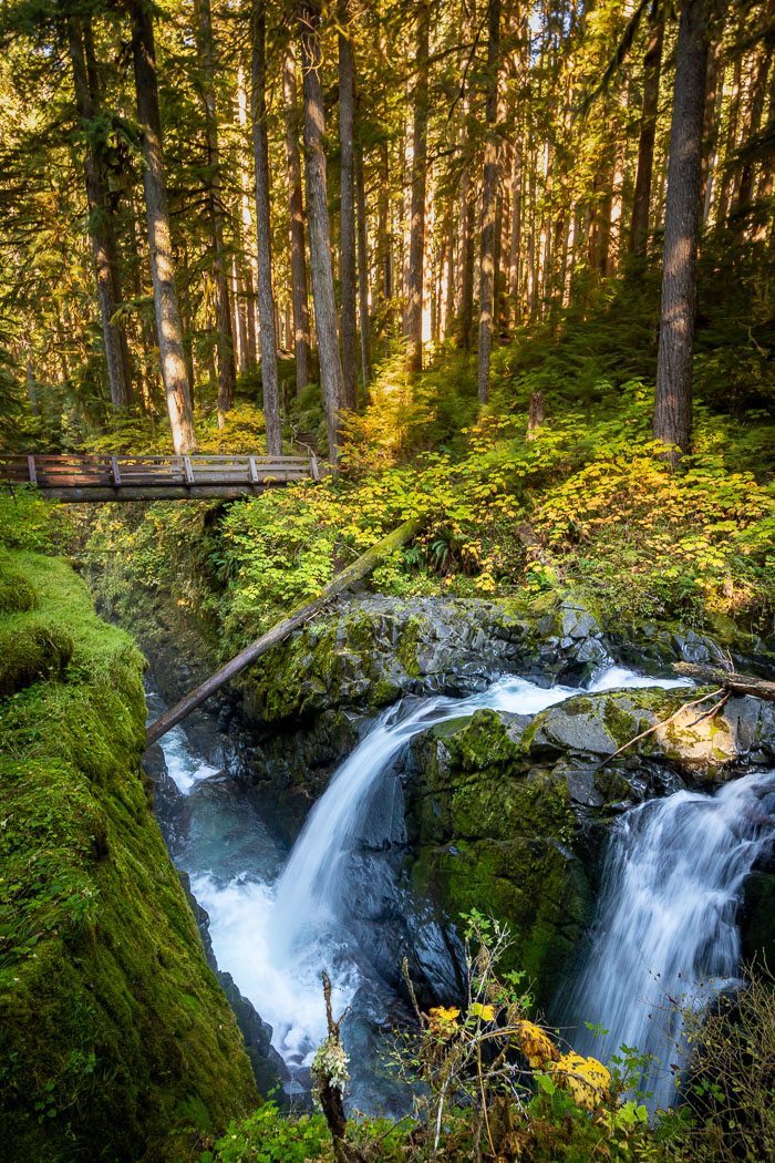 Olympic National Park