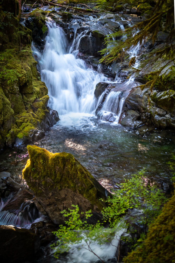 Olympic National Park